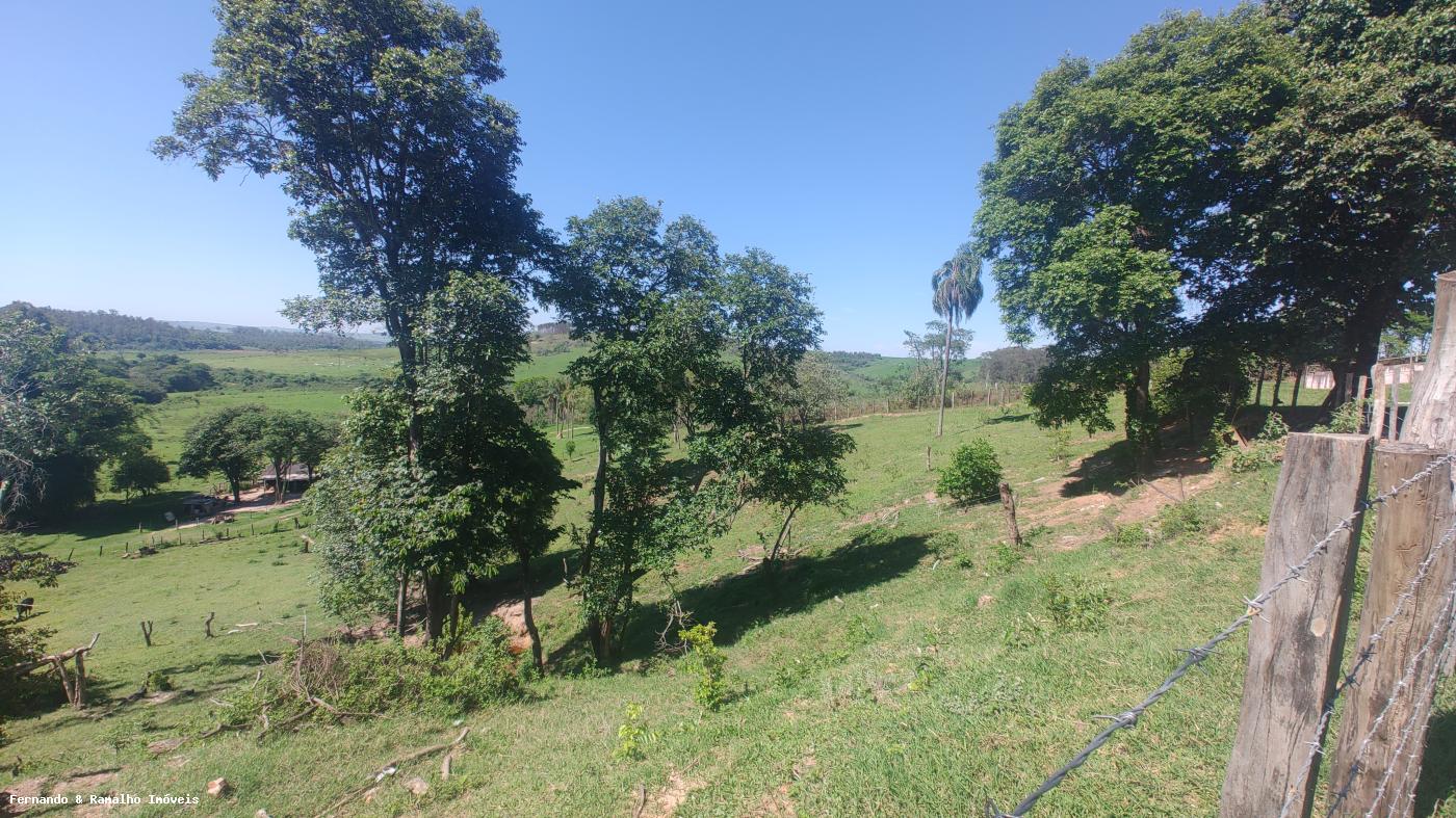 Fazenda, 5451 m² - Foto 1