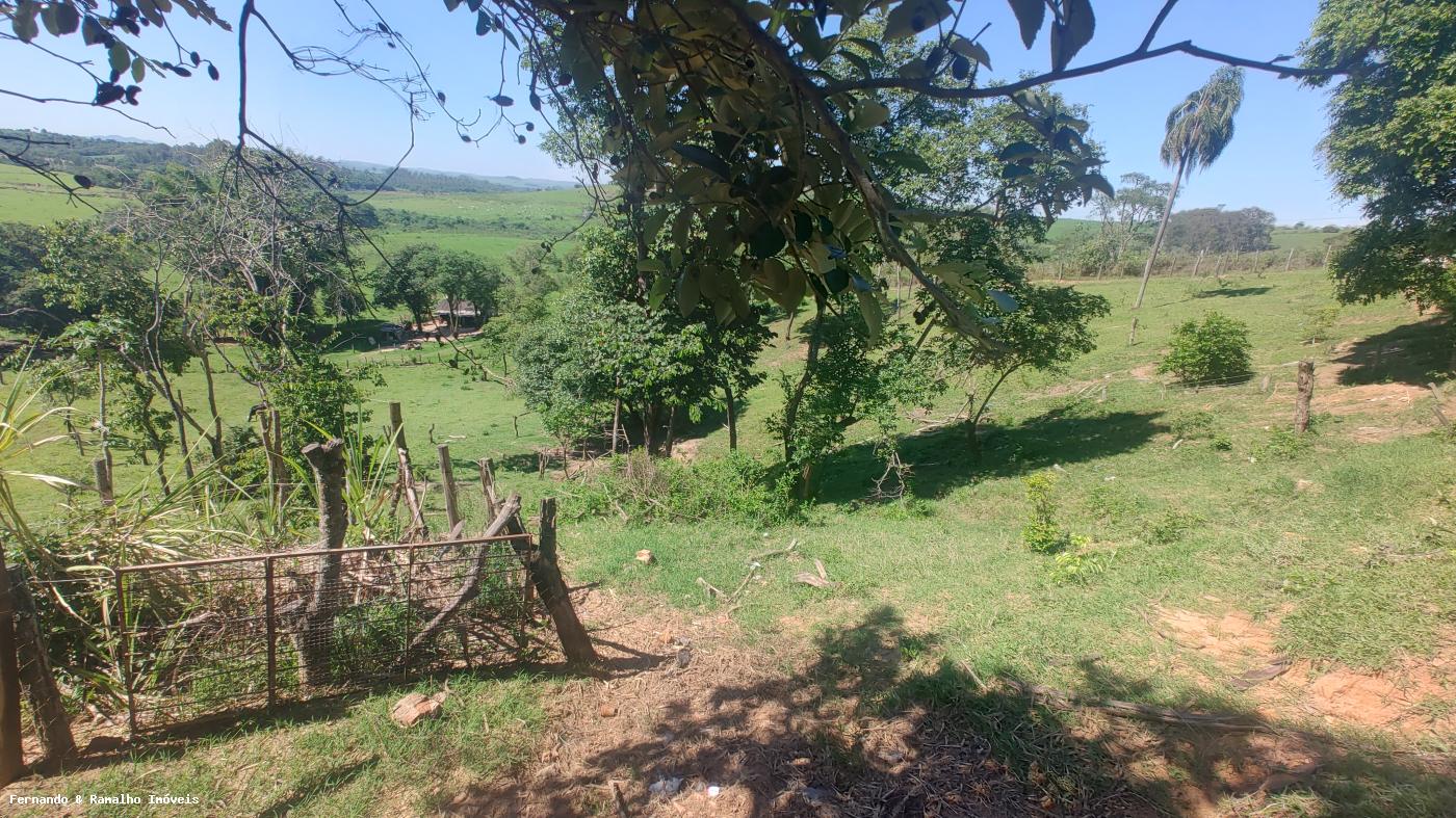 Fazenda, 5451 m² - Foto 3