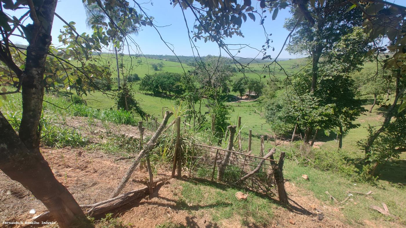Fazenda, 5451 m² - Foto 4