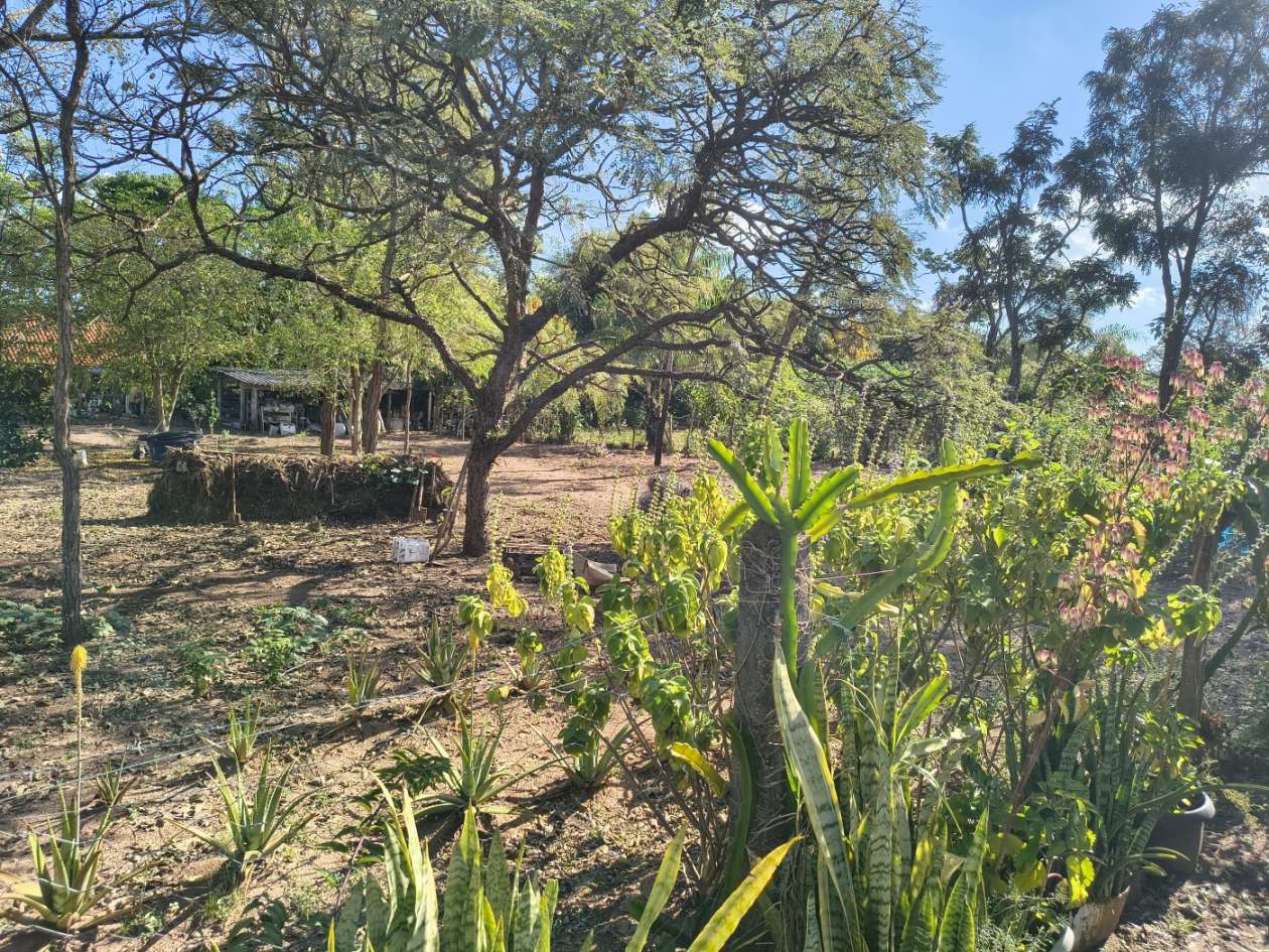 Fazenda, 5050 m² - Foto 5