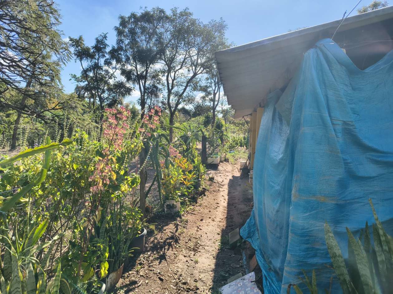 Fazenda, 5050 m² - Foto 6