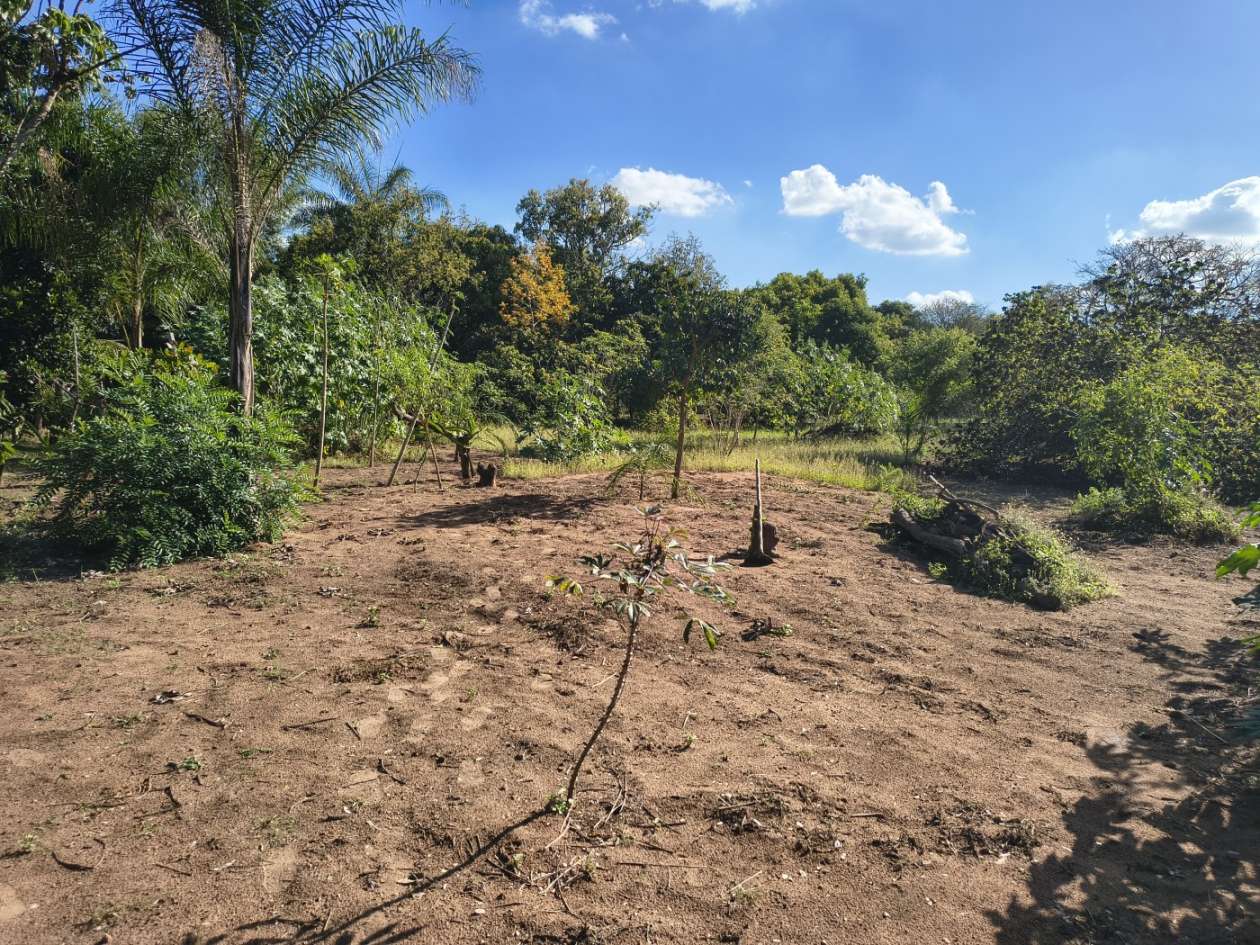 Fazenda, 5050 m² - Foto 23