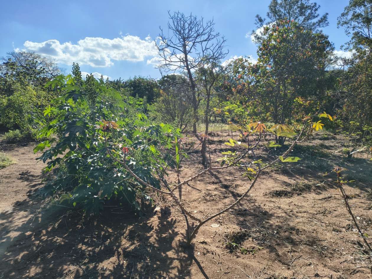 Fazenda, 5050 m² - Foto 24