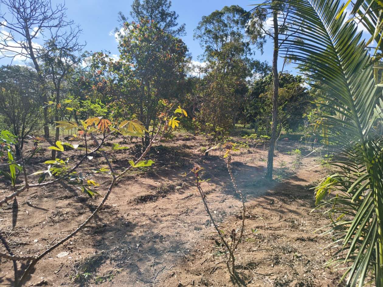 Fazenda, 5050 m² - Foto 25