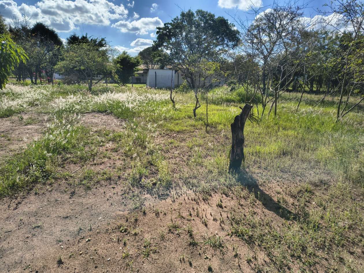 Fazenda, 5050 m² - Foto 27