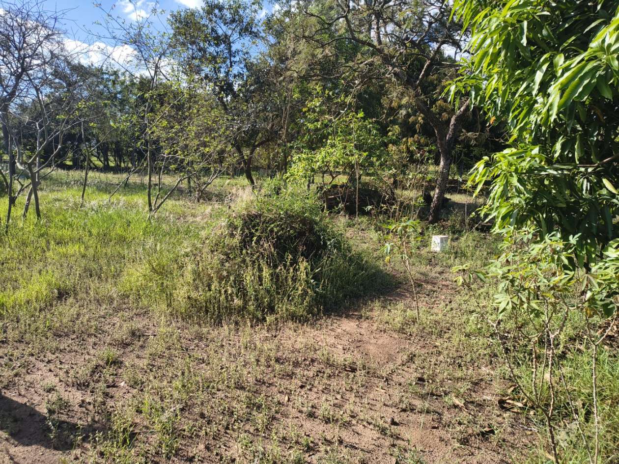 Fazenda, 5050 m² - Foto 28