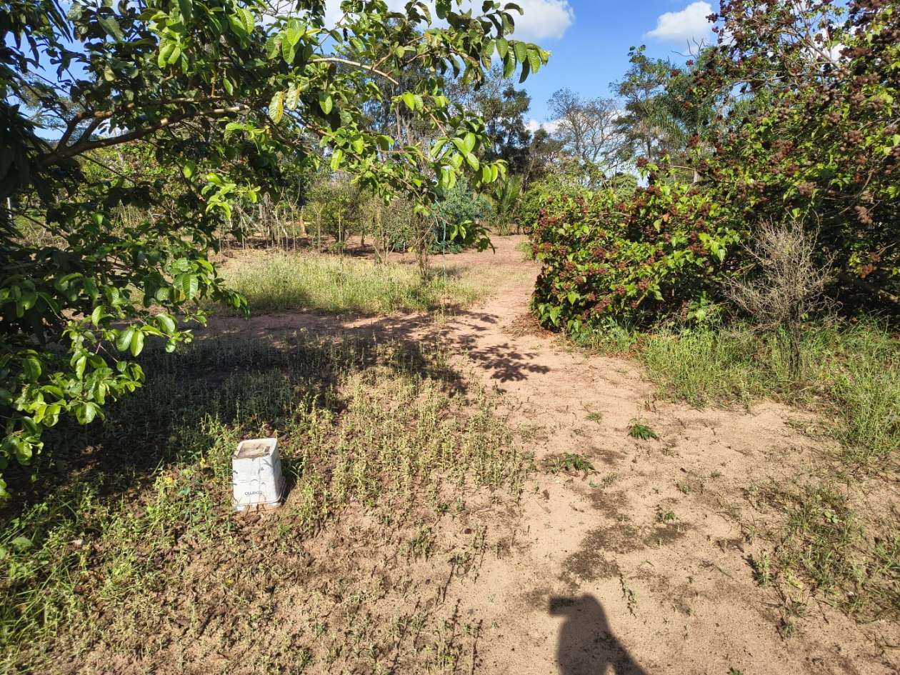 Fazenda, 5050 m² - Foto 29