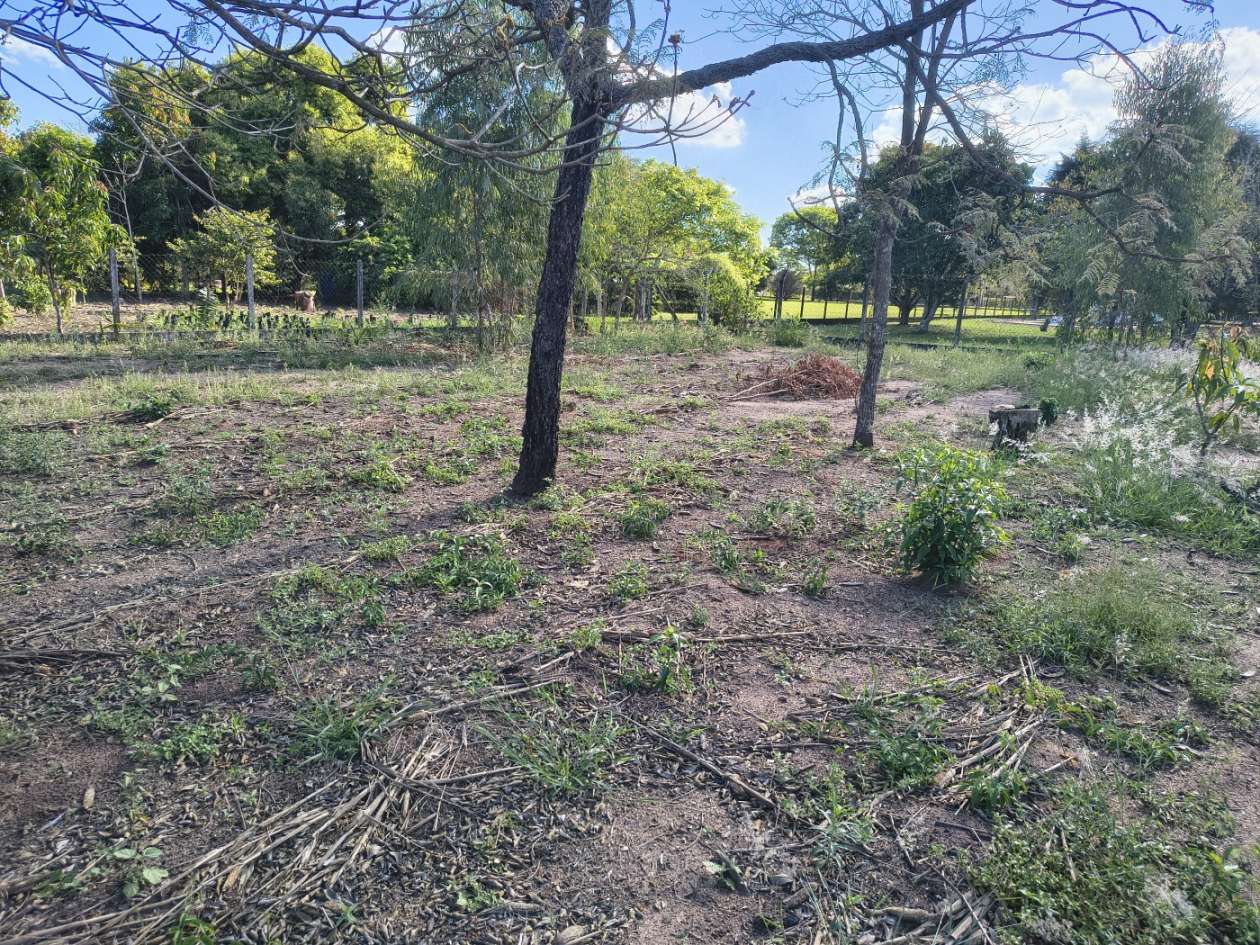 Fazenda, 5050 m² - Foto 31