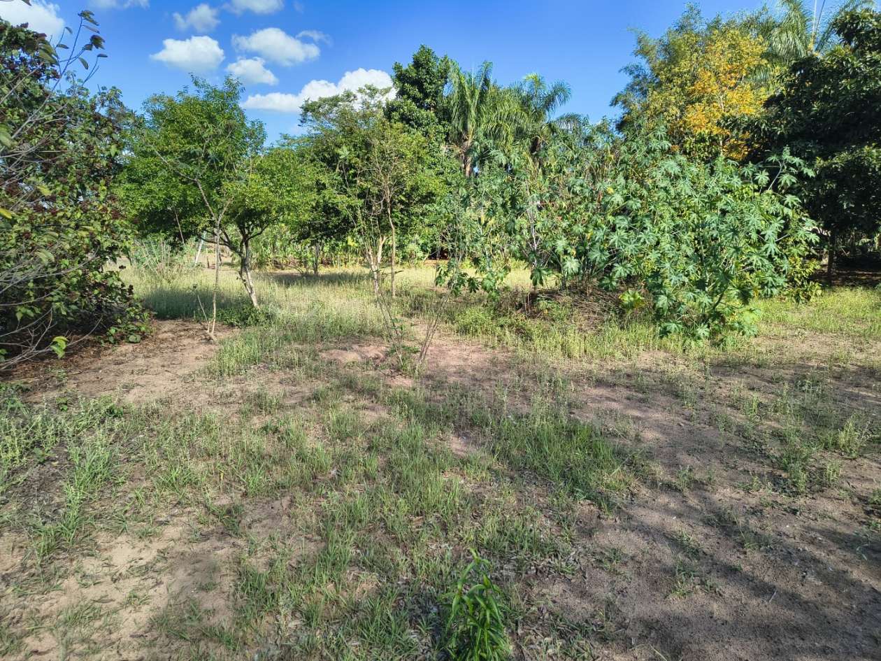 Fazenda, 5050 m² - Foto 32